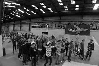 DynamixCIC Groups and Parties