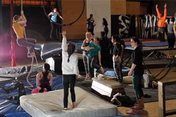 DynamixCIC Groups and Parties